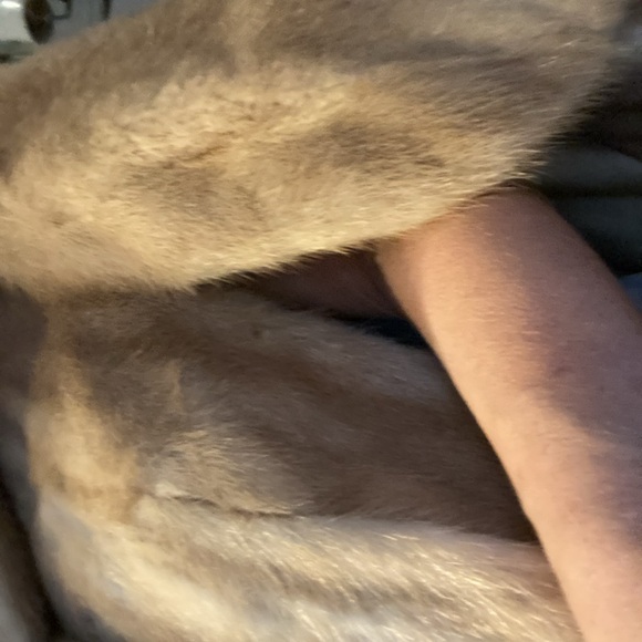 Mink cape - Picture 14 of 14